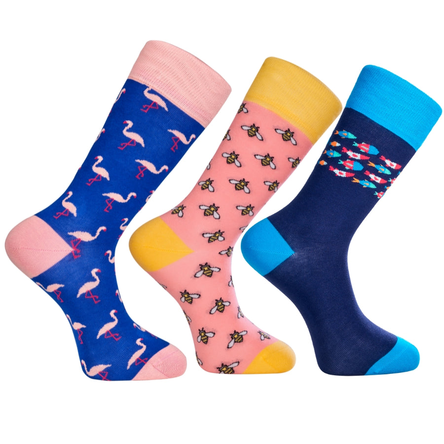 Hawaii Novelty Animal Socks Gift Bundle - LOVE SOCK COMPANY