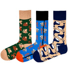 Aussie Socks Gift Bundle - LOVE SOCK COMPANY